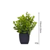Venta al por Mayor Transfronteriza de Plantas Verdes Artificiales Pequeñas en Maceta para Hogar y Oficina, Adornos Creativos, Flores de Plástico, Set de 10 Piezas de Bonsáis Pequeños