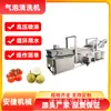 Máquina de Limpeza de Frutas e Vegetais com Bolhas, Equipamento de Limpeza e Descontaminação de Amendoim e Noz, Linha de Limpeza e Processamento de Rabanete e Folha de Chá