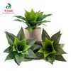 Simulación planta suculenta súper grande tamaño pequeño suculenta bonsái planta verde flor de plástico en maceta micro paisaje con pared vegetal