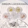 Ventas Directas de Fábrica Accesorios para Uñas Symphony Mermaid Beads Acero de Color Tubo Perla Acero Perlas Mixtas Material para Uñas Accesorios