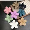 Pinza para Flores Transfronteriza de Alta Gama Color Sólido Esmerilado Horquilla Pinza de Tiburón Horquilla Temperamento Tocado Accesorios para el Cabello Venta al por Mayor
