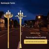 Ao ar livre praça jardim municipal estrada iluminação construção paisagem lâmpada parque pedestre rua especial-formato chinês lâmpada atacado