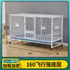 Jaula para Pájaros Encriptada, Jaula de Vuelo, Jaula para Palomas, Jaula Grande para Pájaros a Juego, Jaula de Cría, Estornino, Periquito Australiano, Jaula para Periquitos