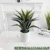 Simulação Planta Verde Bonsai Sisal Folha Grande Gladíolo Planta do Deserto Tropical Janela Paisagismo Decoração Planta Artificial Ponto