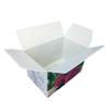 Caja de Embalaje para Pitahaya, Caja de Embalaje con Tapa Impermeable para Conservación Fresca, Fabricante de Origen, Caja de Regalo para Frutas, Plástico Ecológico