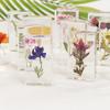 Ornamentos Populares de Resina com Flores Naturais, Lembranças Criativas Culturais e Criativas, Artesanato em Resina, Pequenos Presentes, Suportes de Livro Folha de Ginkgo Rosa