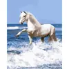 Dropshipping Transfronterizo Pintura al Óleo Digital al por Mayor Pinturas sin Marco 40X50 Amazon Wish Fábrica de Pintura Vestíbulo Ozon Caballo