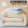 Colcha de Algodón de Xinjiang Grado Madre y Bebé Clase A Colcha de Otoño e Invierno Colcha Gruesa Cálida de Algodón Puro Ropa de Cama Núcleo de Colcha de Algodón para Dormitorio Estudiantil