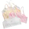 Camisola de Algodón Puro para Niñas al por Mayor Verano Transpirable de Malla Período de Desarrollo Sujetador Ropa Interior para Niña Mediana Capa Base