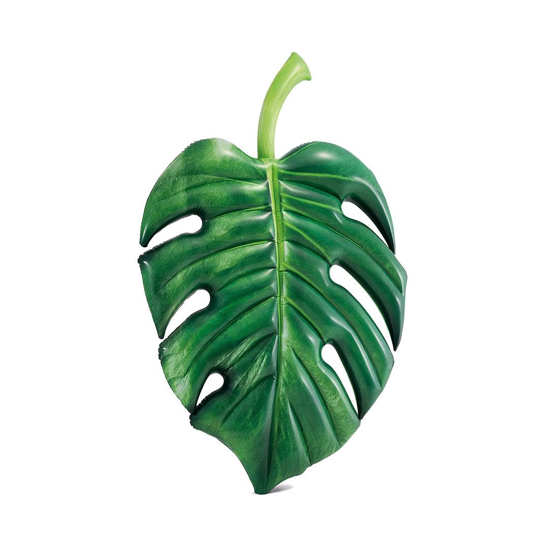 81L1UBcE46L._AC_SL1500_