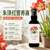 Solução Nutritiva para Amarílis, Spray de Cuidado Diário para Período de Floração de Bulbos de Amarílis, Suprimentos de Gerenciamento de Jardinagem para Plantas em Vasos para Uso Doméstico