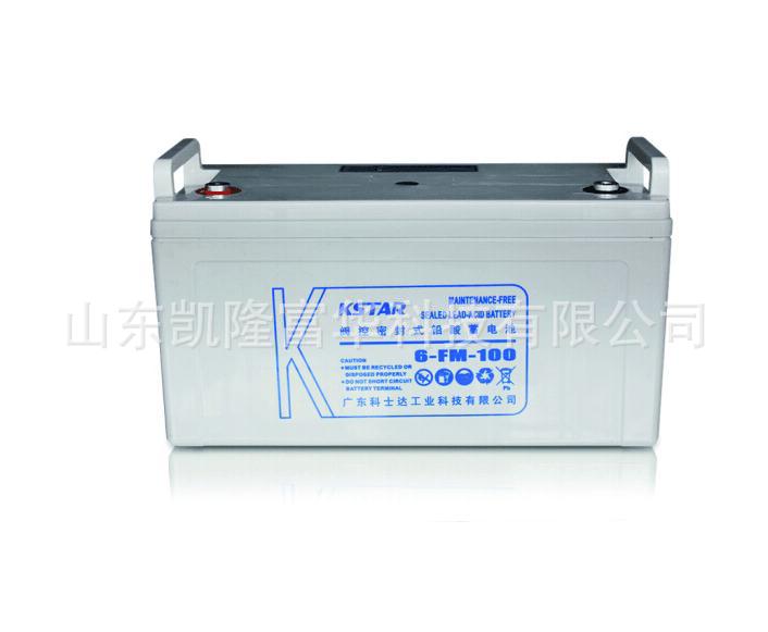 科士达6-FM-100AH8