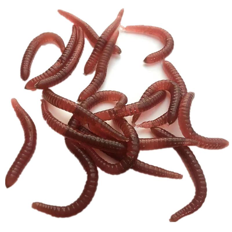 08c800dec16bafe0dd65160b551c8f