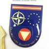 Escudo de pintura personalizado de fábrica forma de entrenamiento militar medalla conmemorativa medalla universitaria galvanoplastia fundición a presión fraternidad medalla con forma especial