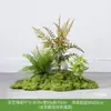Simulación Planta Verde Paisajismo Planta Paisaje Combinación Adornos Exterior Maceta Alta Gama Lujo Ligero Flor Artificial Interior Piso Maceta