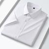Camisa anti-rugas antibacteriana de fibra de bambu sem engomar Camisa masculina de manga curta New Business Professional Dress Work Quality Shirt