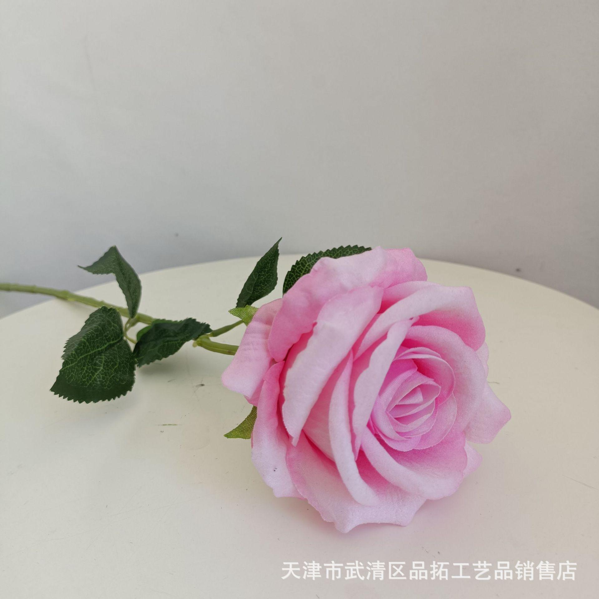 53c25917ec0d1c84bf3f8b8a7a4c03