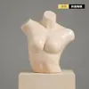 Accesorios de Maniquí para Ropa Interior Torso Femenino Masculino Soportes de Exhibición de Ventana de Plástico para Maniquíes de Hombre