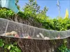 Gaiola Pista de Corrida para Esquilos, Casa de Madeira em Área Cênica, Área de Exposição para Animais Pequenos, Playground Berçário para Pets, Gaiola de Ferro de Aço Inoxidável à Prova de Ferrugem