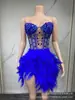 Vestido de Gala Elegante para Mujer de Diseñador de Lujo Negro Vestido de Noche Pedrería Pluma Falda Larga Falda Corta Traje de Performance