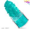 Lantejoulas Flor de Ameixa Fluorescentes 12 Cores Misturadas Conjunto de Lantejoulas para Nail Art Lantejoulas Foscas para Nail Art Acessórios de Unha Adesivos para Unhas