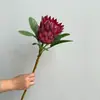 Flores Imperiais Artificiais de Alta Qualidade, Flores Princesa Sul-Africanas, Decoração de Casa, Enfeites para Sala de Estar, Flores Decorativas para Fotografia de Casamento