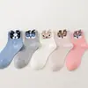 Nuevos calcetines de tubo para mujer de primavera y verano, estilo académico de algodón con gato, calcetines para mujer, calcetines para mujer, fabricantes, venta al por mayor