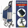 Carrito de Compras, Carrito Pequeño Simple Empujado a Mano con Ruedas, Cesta Plegable Reforzada Portátil para Verduras con Ruedas