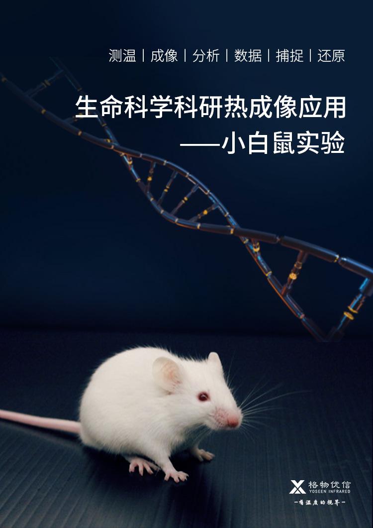 小白鼠癌症科研热成像监测系统_01