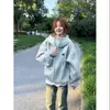 Sudadera con capucha nueva, delgada y moderna para mujer, Otoño e Invierno, Nueva Casual, Gris Claro, Terciopelo, Chaqueta tipo cárdigan con cremallera
