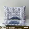 Almohada Magnética de Semilla de Cassia del Fabricante para la Columna Cervical, Almohada Individual, Regalo Promocional, Venta para Evento de Apertura de Seguros, Núcleo de Almohada para la Salud