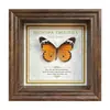 Marco de Fotos con Foto de Mariposa Real Pintura Decorativa Estilo Europeo Marco de Fotos Vintage Decoración de Mesa Adorno para Muebles Regalo de Cumpleaños Presente