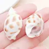 10g Colgante de Concha Natural Perforada Oceánica DIY Creativo Hecho a Mano Cadena de Cintura Collar Llavero Accesorios de Joyería Materiales