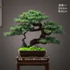 Novo Bonsai Artificial Estilo Chinês Inspirado em Zen Pinheiro Acolhedor e Pinheiro Arhat para Decoração de Escritório, Sala de Estar e Hall de Entrada