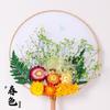 Flor Eterna Flor Seca Leque diy Saco de Material Atacado Presente Dia das Mães Adesivo Artesanal Salão Atividades de Aquecimento