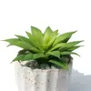 Suculentas Simuladas com Espinhos, Lótus da Neve, Flores Artificiais Falsas, Enfeites Criativos, Bonsai de Mesa para Casa Escandinava