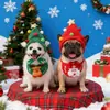 Sombreros, Baberos, Disfraces de Navidad de Otoño e Invierno para Perros y Gatos, Pomerania Oso de Peluche, Suministros para Mascotas