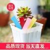 Etiqueta de Flor Gruesa de 10x 2cm Planta Suculenta Plástico Impermeable Etiqueta de Suculenta Jardinería Placas para Macetas de Plántulas