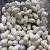 Hilo de seda fábrica de seda de morera fábrica de seda blanca fábrica de seda hilo de seda 20/22D retorcido 149 yuan