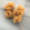 Galhos de pinho com frutos galhos de pinho falsos paisagem de pinho agulhas de pinho pinho negro galhos de cipreste pinho de boas-vindas árvore de Natal cavalinha grande pinho
