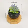 Conjunto de plantas artificiais suculentas mini em vaso de plástico mais vendido internacionalmente, plantas suculentas simuladas para decoração de casa