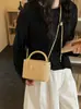 Bolso de Maquillaje Caja de Mano Cadena Francesa Mujer 2026 Nuevo Transfronterizo Tacto de Alta Gama Textura Tejida Bolso de Hombro Único Cruzado