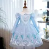 Vestido de Princesa Elsa de Frozen Vestido Largo de Terciopelo de Elsa Vestido de Malla Estampado de Manga Corta de Elsa para Niñas