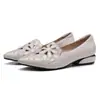 Calcanhar baixo sapatos de quatro estações de comércio exterior transfronteiriço novo salto grosso sola macia bordado vazado respirável moda plus size sapatos femininos