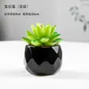 Plantas Verdes Simuladas, Plantas Artificiales Suculentas, Muebles para el Hogar, Flores Artificiales, Flores Simuladas, Plantas Verdes de Plástico Transfronterizas, Bonsáis Pequeños