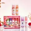 Comércio Exterior Inglês Caixa de Conjunto de Protetor Labial Sabor Fruta Fábrica de Protetor Labial Hidratante Labial