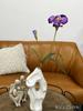 Íris Branca Artificial 2 Cabeças Íris Roxa Alice Estilo Jardim Primavera e Verão Casamento Decoração de Casa Flor Artificial Atacado