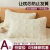 Fronha de travesseiro com óleo para cabeça anti-baba, fronha acolchoada anti-suor, individual para casa, um par de fronhas completas 48cmx74cm