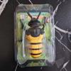 Escarabajo de Combate Simulado de Liquidación Transfronteriza Modelo de Insecto Unicornio Juguete Educativo para Niños Gateo Simulado