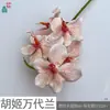 Orquídea Phalaenopsis Tacto Real 9 Flores de Orquídea Fotografía de Estudio Flores de Seda Accesorios Venta al por Mayor Transfronteriza Flores Artificiales